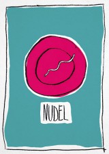 Nudel